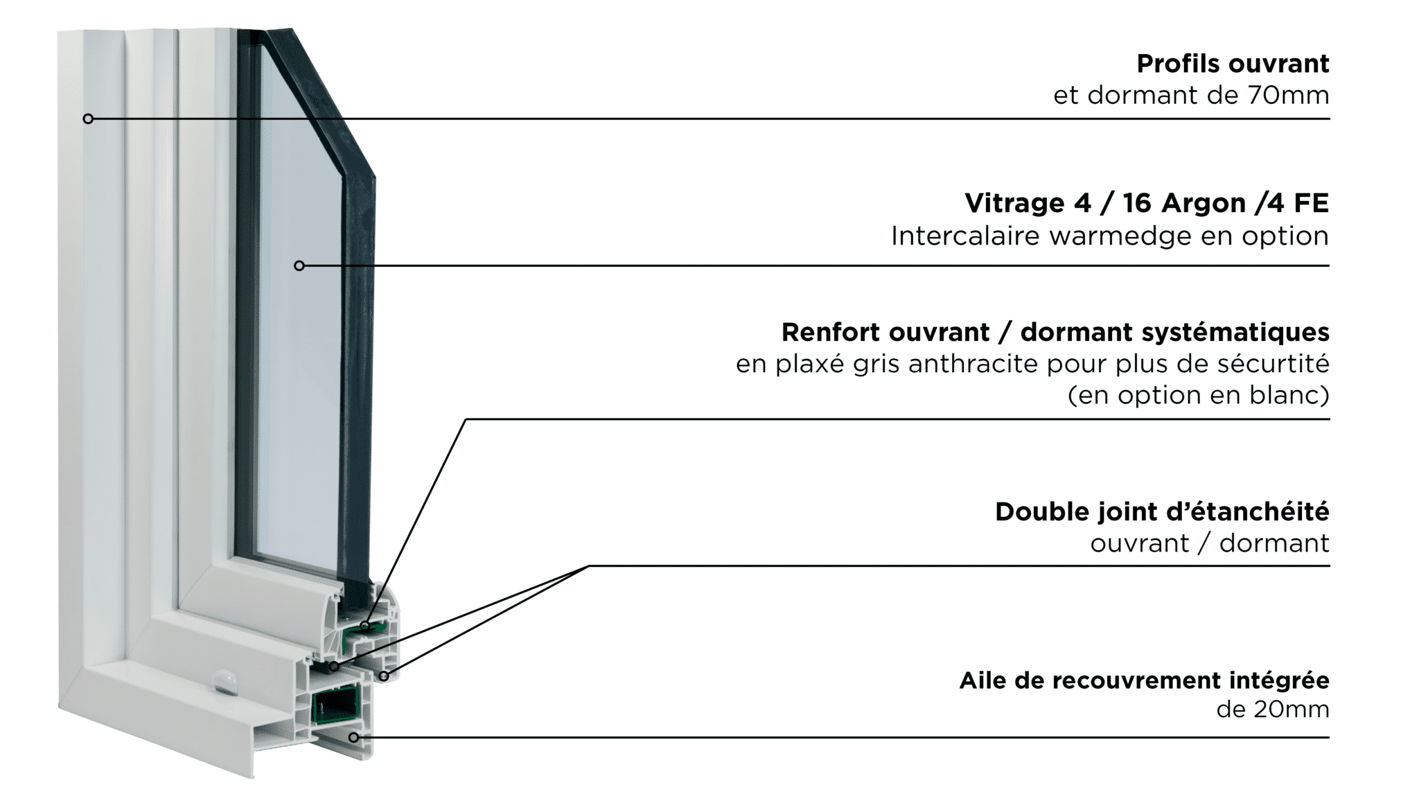 Angle-syupplus